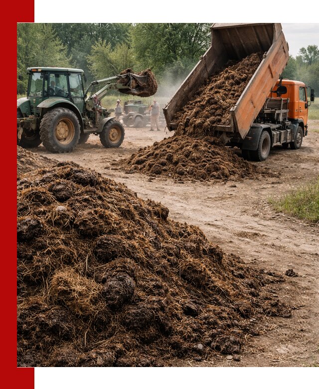 Доставка навоза самосвалами в Рассказове для сельхозпотребностей